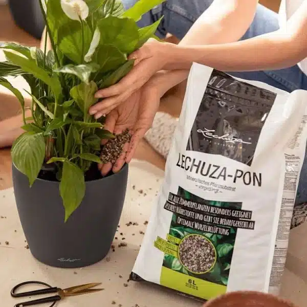 Lechuza-PON 30L - Substrat mineralny do roślin - obrazek 3